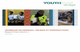 Youthmap —senegal—rapport complet