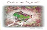 Echos de la Forêt 2003