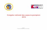 119eCongresnationaldessapeurs-pompiers2012-document complet de présentation