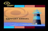 Rapport annuel général de la CWaPE - 2013
