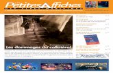 Les Petites Affiches des Alpes Maritimes N° 3671 du 23 au 29 Août 2013