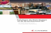 Solution de Distribution et de Branchement BT / LV distribution and connection solutions (FR/GB)
