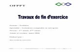 Travauxdefindexe ter tsge 130511053422 phpapp01