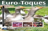 Magazine Euro-Toques Belgique-Belgie 22