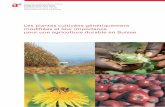 Les cultures génétiquement modifiées et leur importance pour l'agriculture durable en Suisse