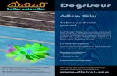 Diotrol Degriseur, le flyer june 2014
