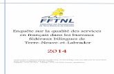 Fftnl enquête services en français 2014