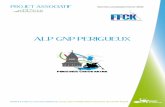 Projet associatif ALP GNP 2013-2016