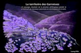 Mémoire de fin de premier cycle : Le territoire des Garrotxes