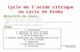 Bouhsain Cycle de L_acide Citrique