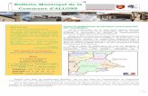 Bulletin Municipal de la commune d'Allons N°4