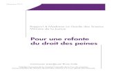 Rapport Sur La Refonte Du Droit Des Peines