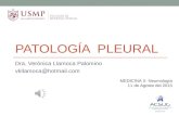 2da semana 3ra sesion - Patología Pleural - Dra. Llamoca