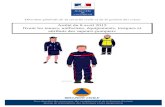 Arrêté Fixant Les Tenues, Uniformes, Équipements, Insignes Et Attributs Des SP Du 8 Avril 2015