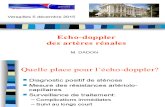 Artères Rénales Echo-doppler - Dr M DADON