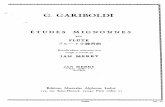 G. Gariboldi - Etudes Mignonnes