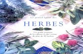 Le Grand Livre Des Herbes - Guide Pratique de La Culture Et Des Vertus de Plus de 50 Herbes