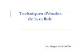 technic etude de cellule.pdf