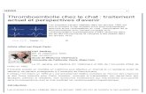 Thromboembolie Chez Le Chat _ Traitement Actuel Et Perspectives D_'Avenir
