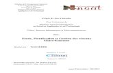 Etude, Planification Et Gestion Des Réseaux Métro-Ethernet (Skhiri Ferid)