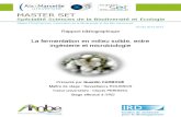 Fermentation en Milieu Solide, Entre Ingénierie Et Microbiologie (1)