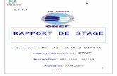 --Onep Rapport de Stage 27-04-2010a