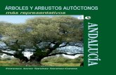 Arboles y Arbustos Autoctonos Mas Representativos de Andalucia