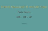 Dinâmica Populacional de Infecções Virais Paolo Zanotto LEMB - ICB - USP