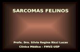 SARCOMAS FELINOS Profa. Dra. Sílvia Regina Ricci Lucas Profa. Dra. Sílvia Regina Ricci Lucas Clínica Médica – FMVZ-USP Clínica Médica – FMVZ-USP.