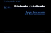 Les Levures Et Levuroses Biologie Medica