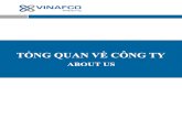 Van Tai Bien Container Vinafco