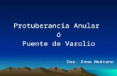 Protuberancia - Dra. Enoe Medrano