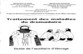 Guide Pratique Des Maladies Du Dromadaire