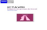 Cotita_ICTAVRI Rapport Groupe Travail 2002