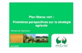 Plan_Maroc_Vert Enjeux Et Stratégie
