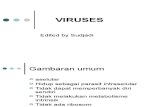 Virus & Transposon 2012