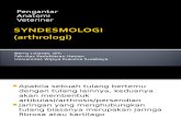 Anvet I - 03 - Syndesmologi.ppt