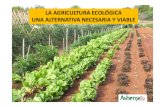agricuyltura sostenible