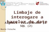 11 LimbajeDeInterogare AR SQL2