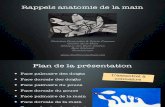 2016-3 DESC MU Anatomie Main Urgentistes