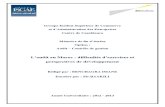 L_audit Au Maroc Difficultés D_exercices Et Perspectives de Développement - Aspects Pratiques de l