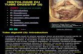 Histologie Du Tube Digestive