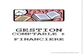 Gestion Comptable Et Financière