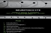 14. Neurotoxicité