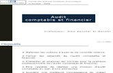 Audit Comptables Et Financiers