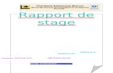 Rapport de Stage AXA