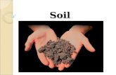Lec 8 Soil