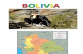 Présentation Bolivia