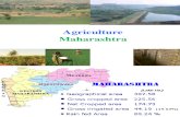 agriculture in maharashtra