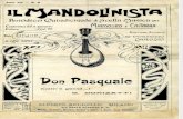 Donizetti-Carosio Don Pasquale: Com'è gentil (Voce e chitarra)